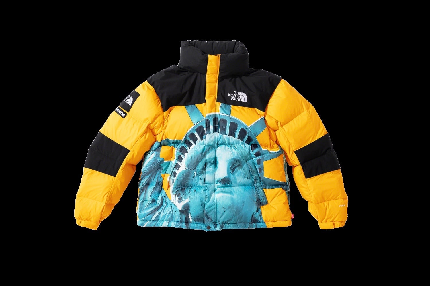 Supreme®/The North Face® Statue of Liberty Baltoro Jacket view 18